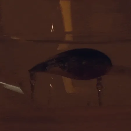 Bite Lite Cobra Vaappu, Orange Crawfish, 21g, LED, #10905