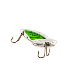 Reef Runner Cicada