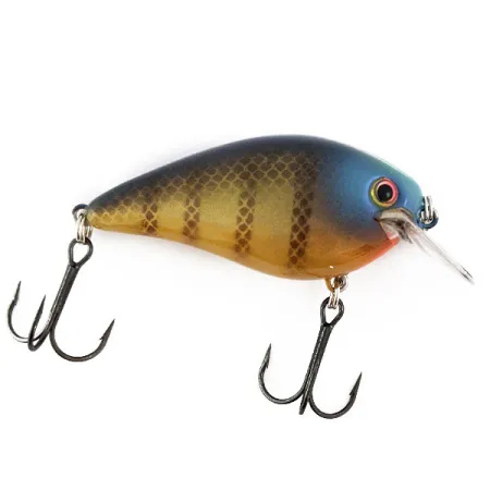 Strike King KVD 1.5 Silent square bill -vaappu
