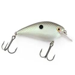 Strike King KVD 1.5 Silent square bill -vaappu