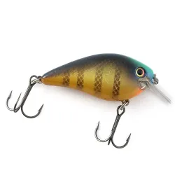 Strike King KVD 1.5 Silent square bill -vaappu