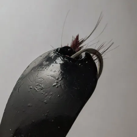 Weezel Rex, 12g, musta, lusikkauistin #21779