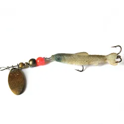 CO- Trout 0
