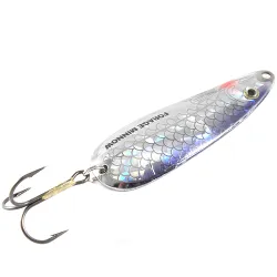 Forage Minnow