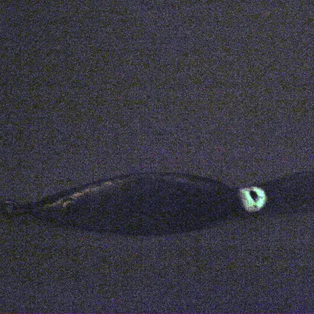 Weedless Fred Arbogast 3 Hawaiian Glow Uistin, 16g, Ruohosuoja, #3338