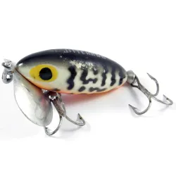 Jitterbug