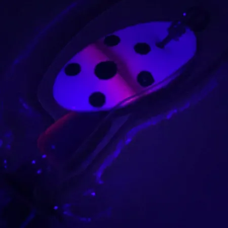 Panther Martin 2 UV Lippa, Taimen, 2,5g, UV-viimeistely, #4603