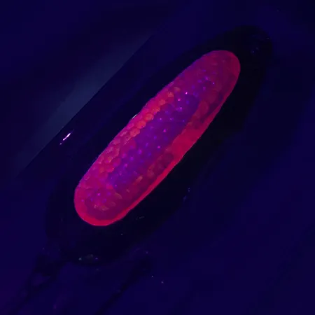 Blue Fox Rattlin Pixee UV Lusikka, Kulta / Punainen, 14g, Räminä, #4749