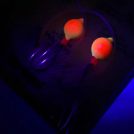 Northland Live Fishing Bait Roach Rig UV Rigi, Oranssi, UV, #5967