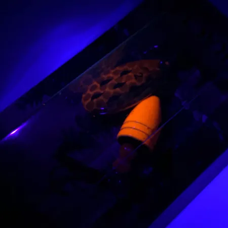 Luhr Jensen Fire Max Miracle 2 UV Lippa, Katkarapu, 7g, UV, #6044