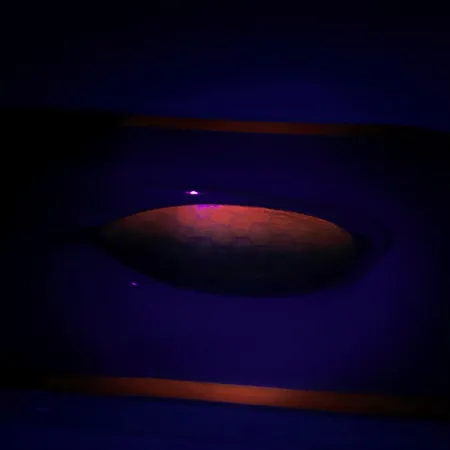 Weedless Johnson Silver Minnow Lusikka, Vihreä/Oranssi/Nikkeli, #6193