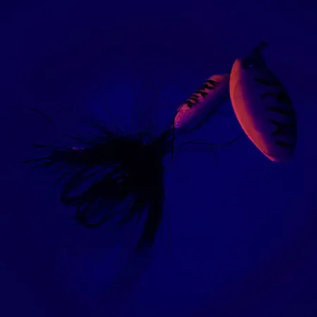 Yakima Bait Worden’s Original Rooster Tail UV Lippa, Rainbow Perch, 2,6g, UV, #6451