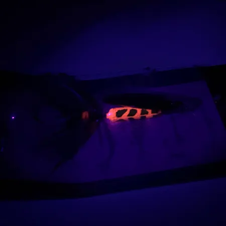 Yakima Bait Worden’s Original Rooster Tail Lippa, Kulta, 3,6g, #6598