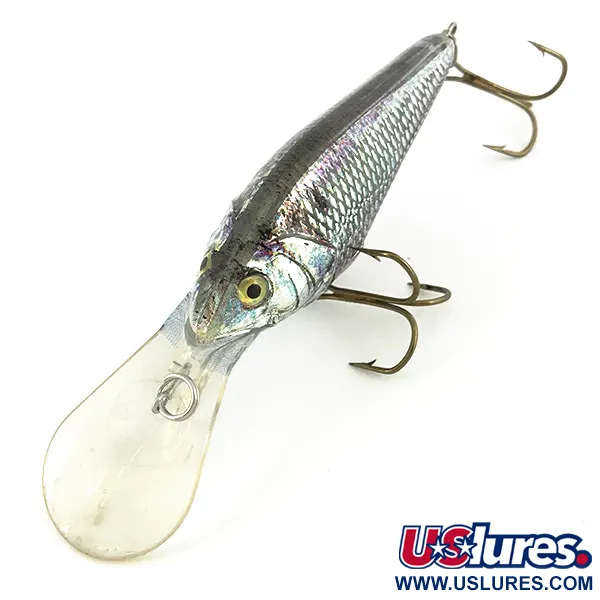 Berkley Frenzy Diver Vaappu, Rainbow Silver, 12g, #7350