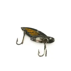 Reef Runner Cicada