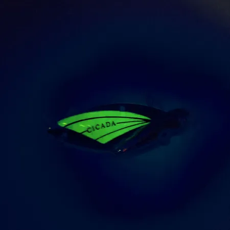 Reef Runner Cicada Blade Bait, Nikkeli / Vihreä, 14g, Hohtava, #9560